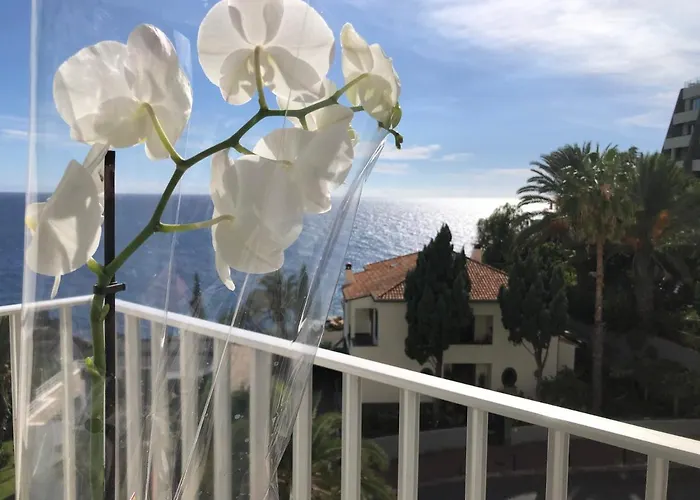 Beach Studio Apartment 公寓 *