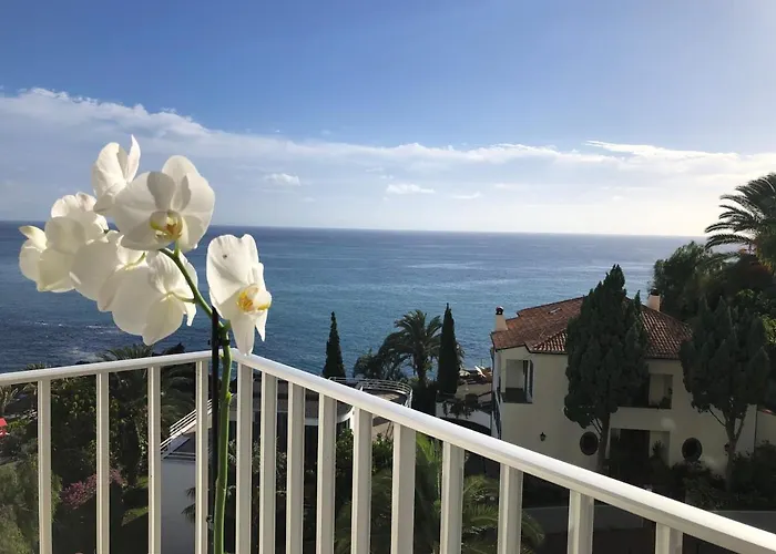 公寓 Beach Studio Apartment 丰沙尔