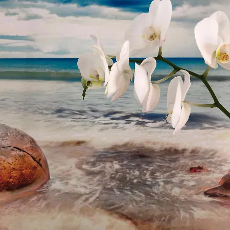 Beach Studio Apartment Lägenhet *